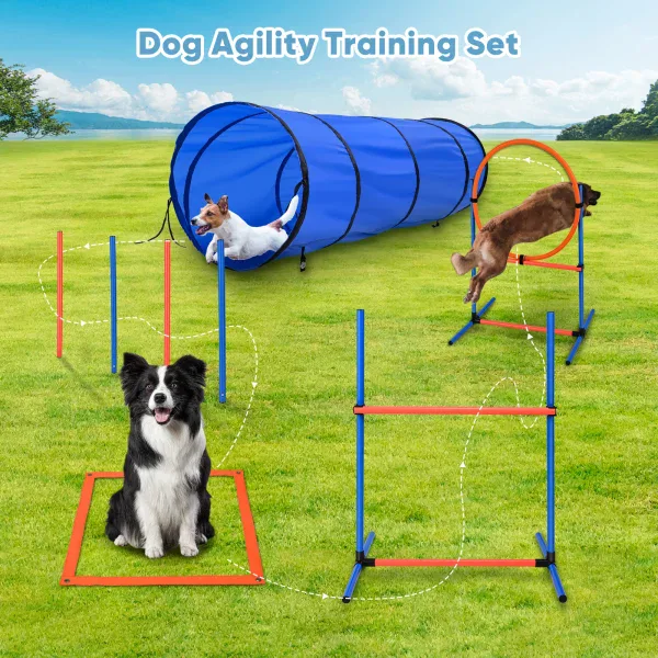 Prekážková dráha do záhrady, slalomové tyče, tunel, skok cez obruč, sada na cvičenie agility – Obrázok 5